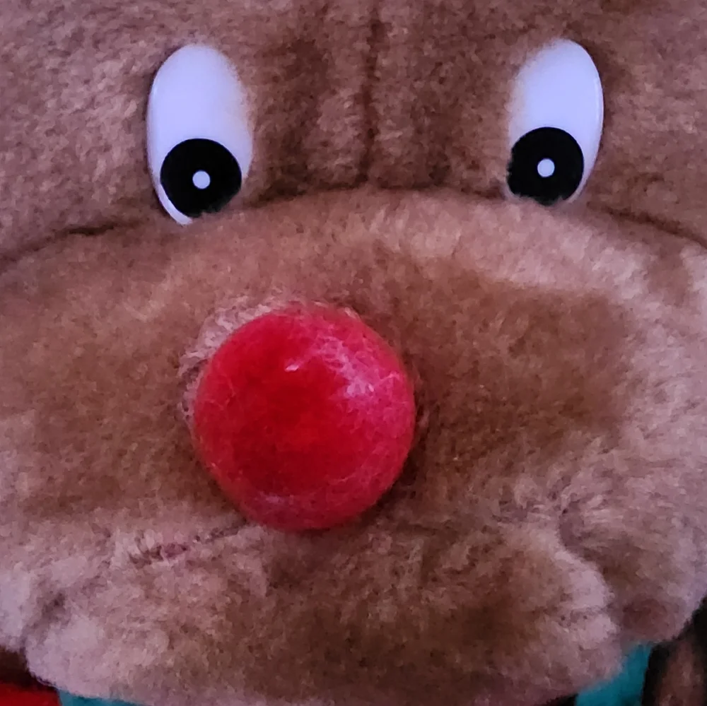 Reindeer Stocking 22
